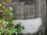 image of grave number 774773